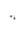 SPOT tiny drop · PURPLE